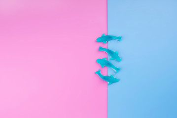 Jelly fish candies on pink blue background. Word SEA. Flat lay