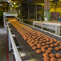 Automatic bakery production line with sweet cookies on conveyor belt equipment machinery in...