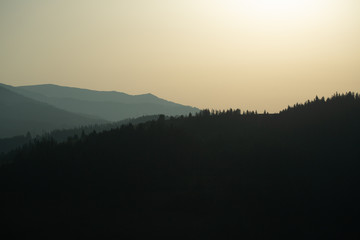 panoramic view of of mountains in misty forest.