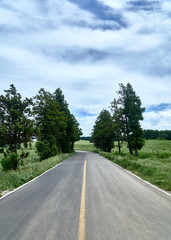 Fototapeta premium road(crop)