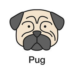 Pug color icon