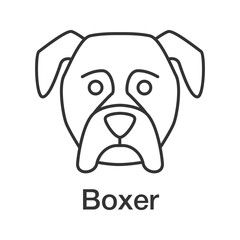 Boxer linear icon