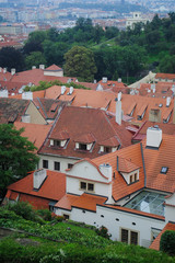 Fototapeta na wymiar Urban landscape whith orange roofs of Prague