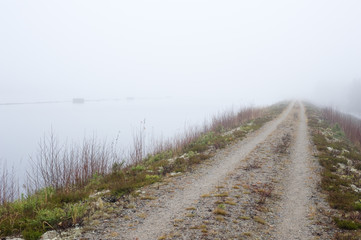 Dirt road leading through misty and rainy autumn landscape.
