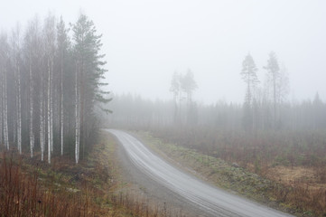 Dirt road winding through foggy and rainy autumn landscape.