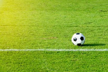 Green field at the stadium with sun and soccer balls and white lines.