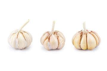 Garlic isolated on white background