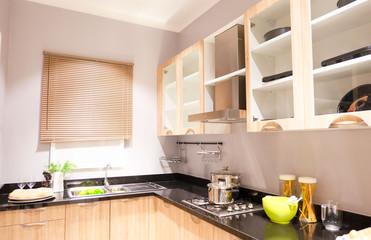 Gourmet new kitchen features . Modern kitchen interior .