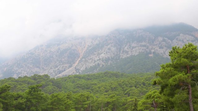 Beautiful cloudy scenic landscape. Taurus mountains in Turkey, Beldibi town area situated between Kemer and Antalya turkish cities. Green thick wood in foreground.