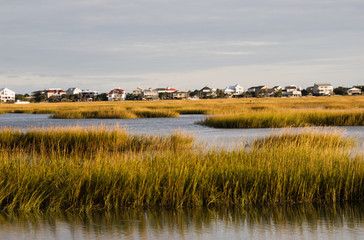Salt Water Marsh Landscape in Murrells Inlet South Carolina - Powered by Adobe