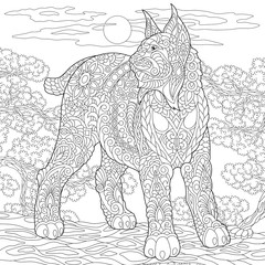 Naklejka premium Wildcat. Lynx. Bobcat. Coloring Page. Colouring picture. Adult Coloring Book idea. 