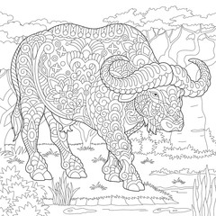 Buffalo. Bull. Coloring Page. Colouring picture. Adult Coloring Book idea. 
