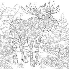 Moose, woodland animal. Forest landscape. Coloring Page. Colouring picture. Adult Coloring Book idea. 