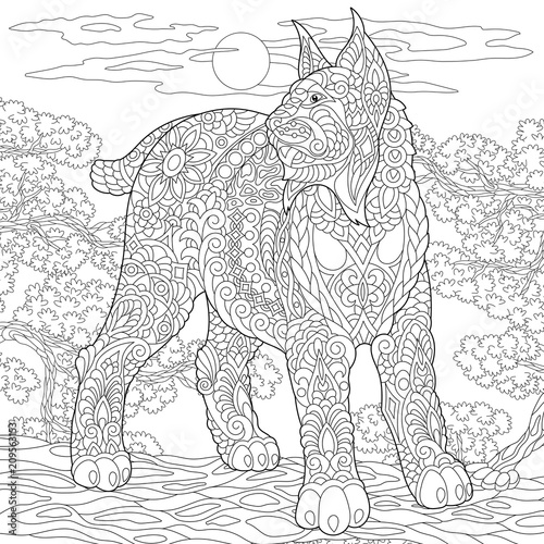 "Wildcat. Lynx. Bobcat. Coloring Page. Colouring picture  
