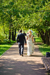 Obraz premium Newlyweds walk along the trees alley in the park. Wedding day in summer.