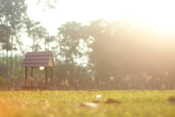 Fototapeta premium The sun shines down on the grass.