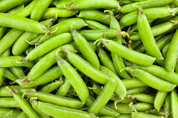 peas pods