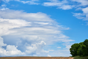 Beautiful summer landscape with cumulus clouds in the sky