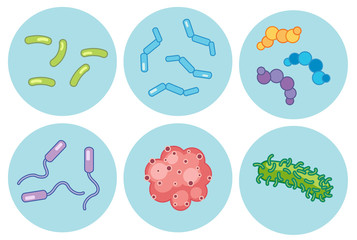 Collection of various magnified bacteria
