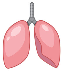 A Cartoon of Human Lung