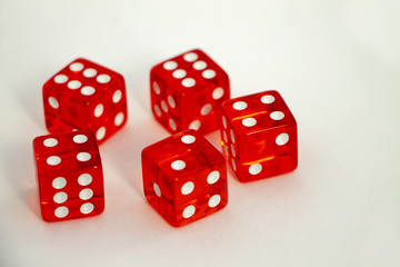 Red cubes for board games on a white background.