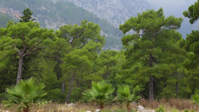 Beautiful cloudy scenic landscape. Taurus mountains in Turkey, Beldibi town area situated between Kemer and Antalya turkish cities.