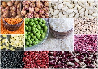 Legumes