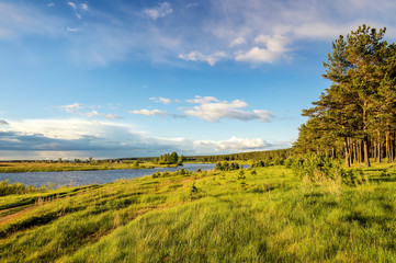 летний пейзаж на берегу уральской реки с соснами, Россия, июнь