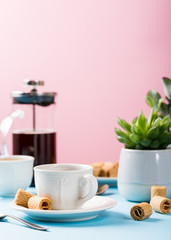 Cups of coffee with crispy mini wafer rolls and indoor plant succulent on blue and pink background with copy space.