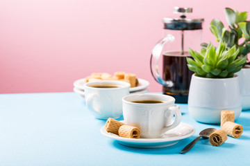 Cups of coffee with crispy mini wafer rolls and indoor plant succulent on blue and pink background with copy space.