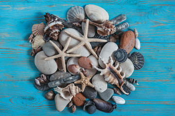 shells texture. summer concept. close up