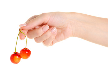Cherries in hand on a white background isolation