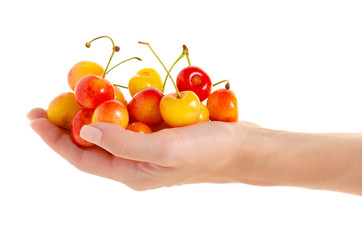 Cherries in hand on a white background isolation