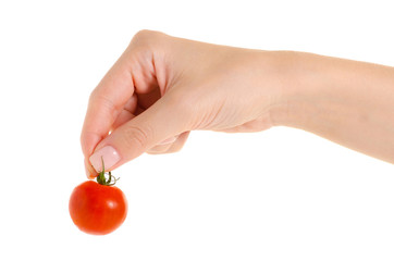 Cherry tomato in hand on a white background isolation