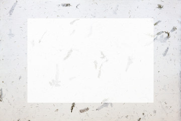 Handmade paper background with fragments of small green branches and mockup