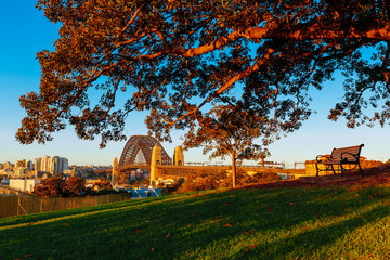 Fototapeta premium An overlooking view of Sydney’s Harbour Bridge from Sydney Observatory