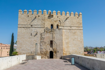 Obraz premium Tour de la Calahorra à Cordoue
