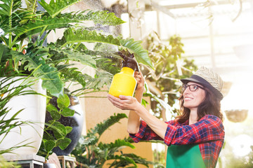 Fröhliche Floristin beim besprühen von Zimmerpflanzen mit Wasser im Blumenladen