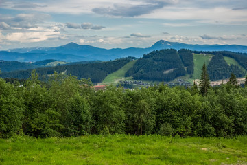 Obraz premium forest mountain hill nature landscape