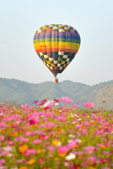 balloon and flower