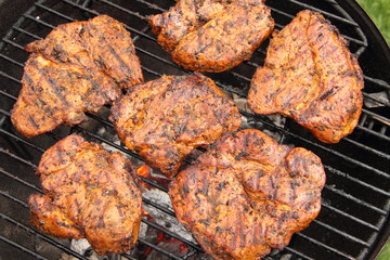 Gartenparty mit Fleisch auf dem Grill