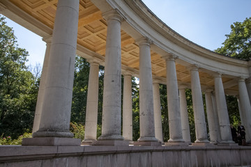 Naklejka premium column