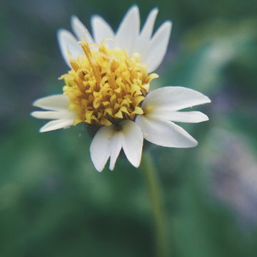 Processed with VSCO with a7 preset