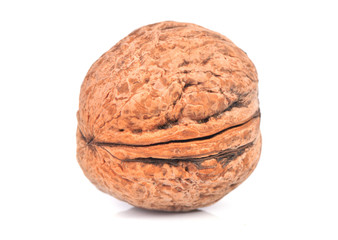 Walnut