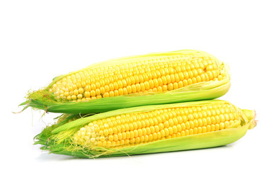 Fresh corn