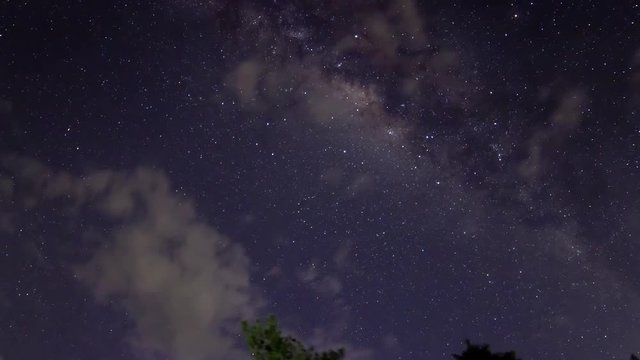 A moving time lapse of the milky-way galaxy above the trees