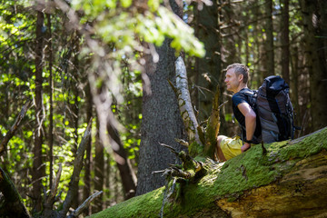 Obraz na płótnie Canvas Hiker rests on a trail in a wood