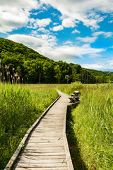 Appalachian Trail Boardwalk