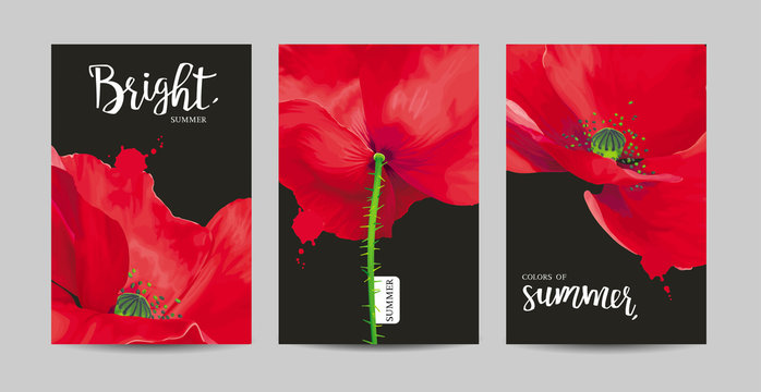 Luxurious bright red vector Poppy flowers paintings on black background set