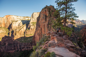 Landscape of the Zion National park, Utah, USA